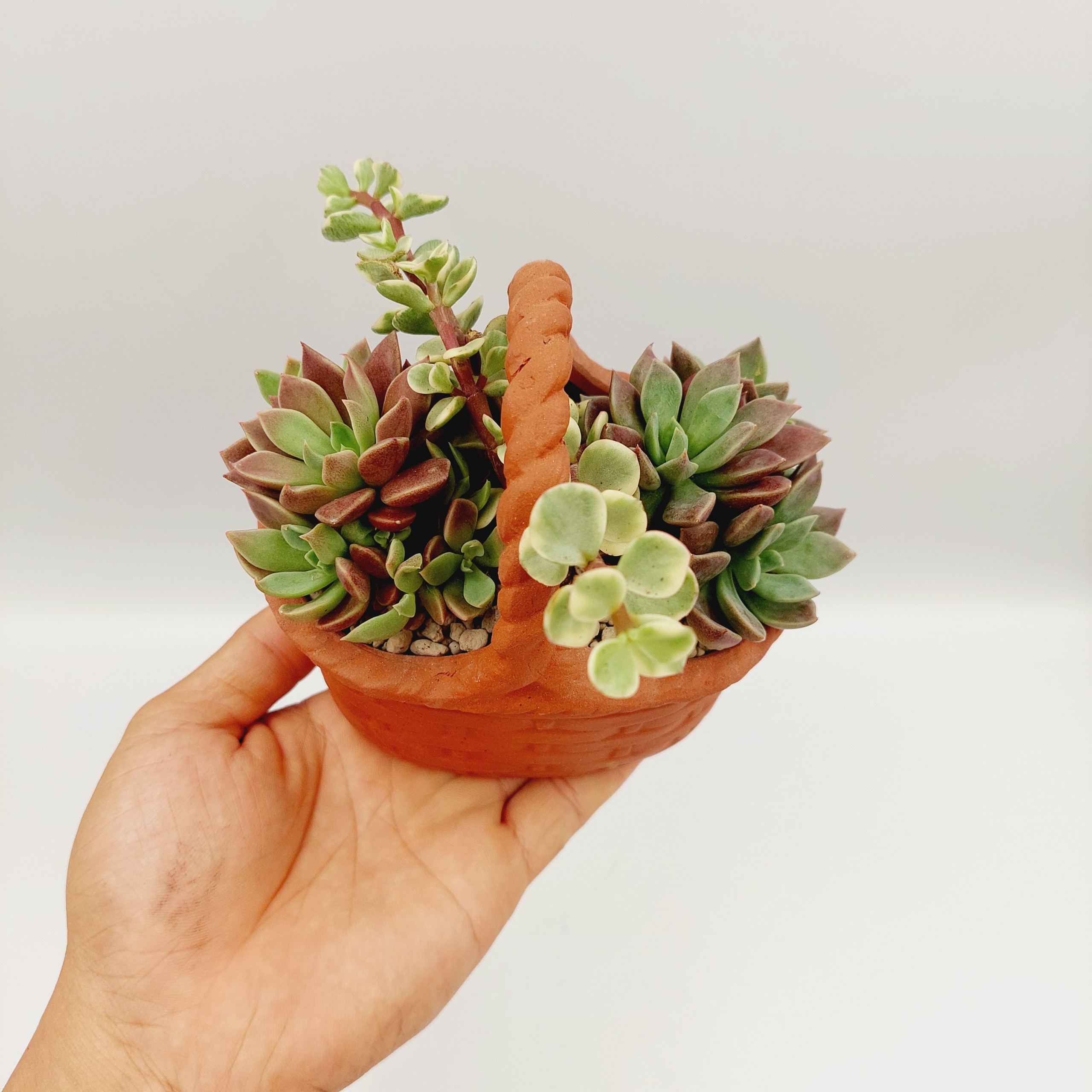 Chậu đất nung, chậu sen đá - Giỏ hoa nhỏ xinh 1212, dài 12cm, rộng 8cm, cao 12cm