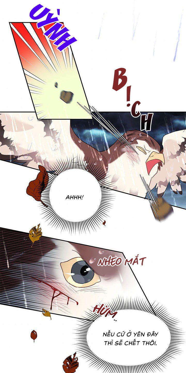 công chúa của loài chim chapter 11 45