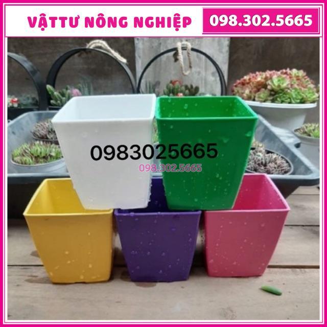Chậu nhựa vuông nhiều màu kích thước 16x16cm