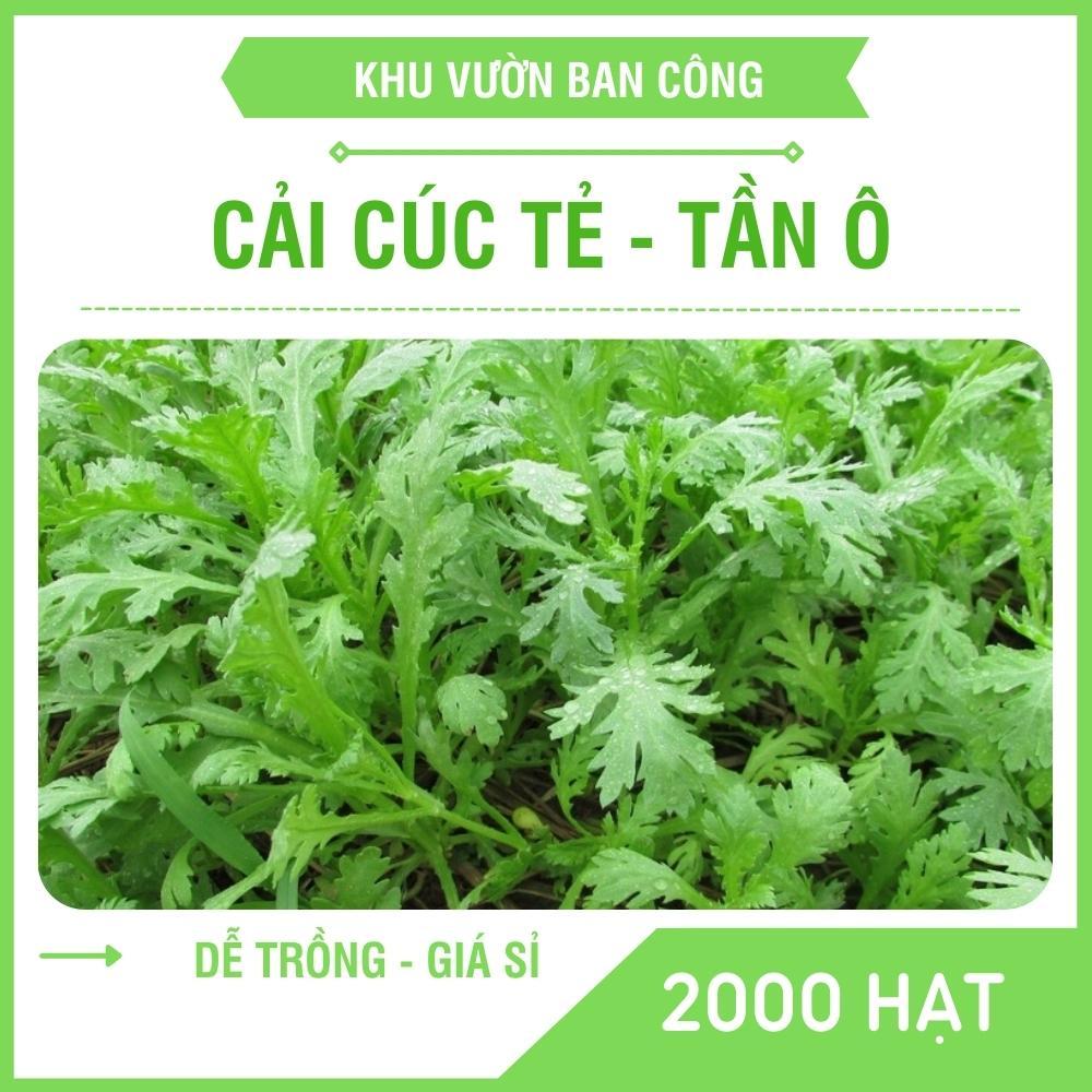 Hạt Giống Rau Cải Cúc , Cải Cúc Tẻ Chân Lùn Lá Sẻ Gói 20g 2000 Hạt - Khu Vườn Ban Công