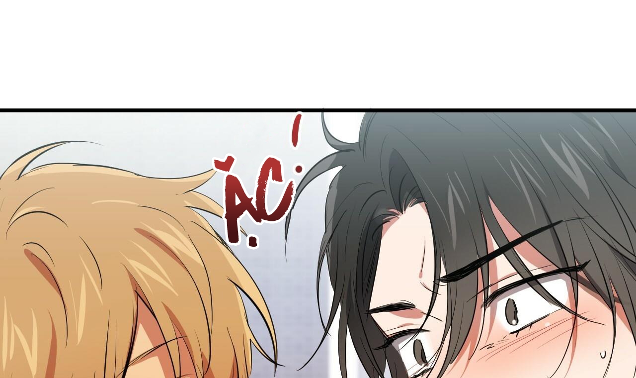 những chú thỏ của hapypy chapter 51 170