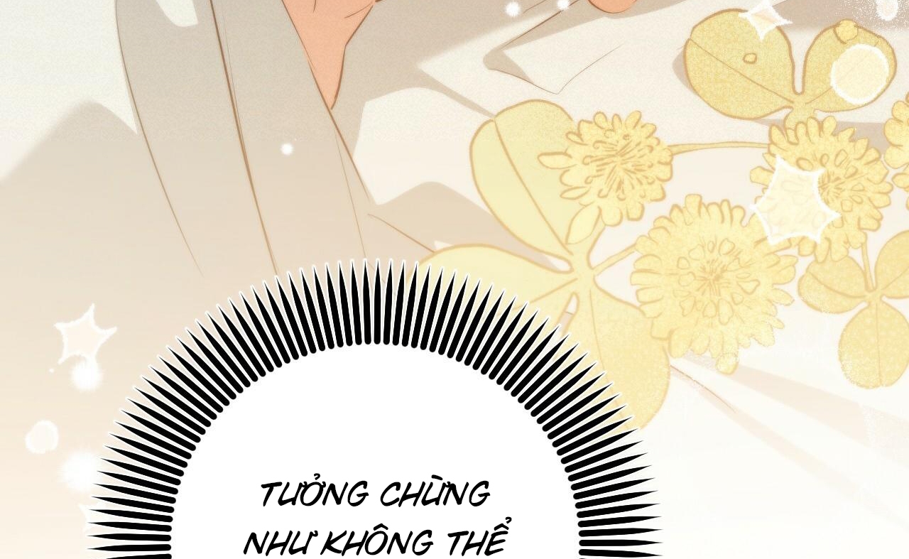 những chú thỏ của hapypy chapter 52 34