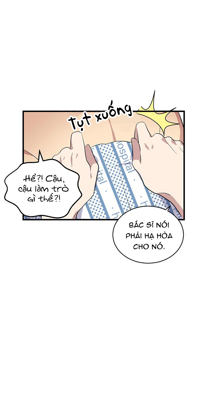 khách sạn ojakgyo chapter 6 34