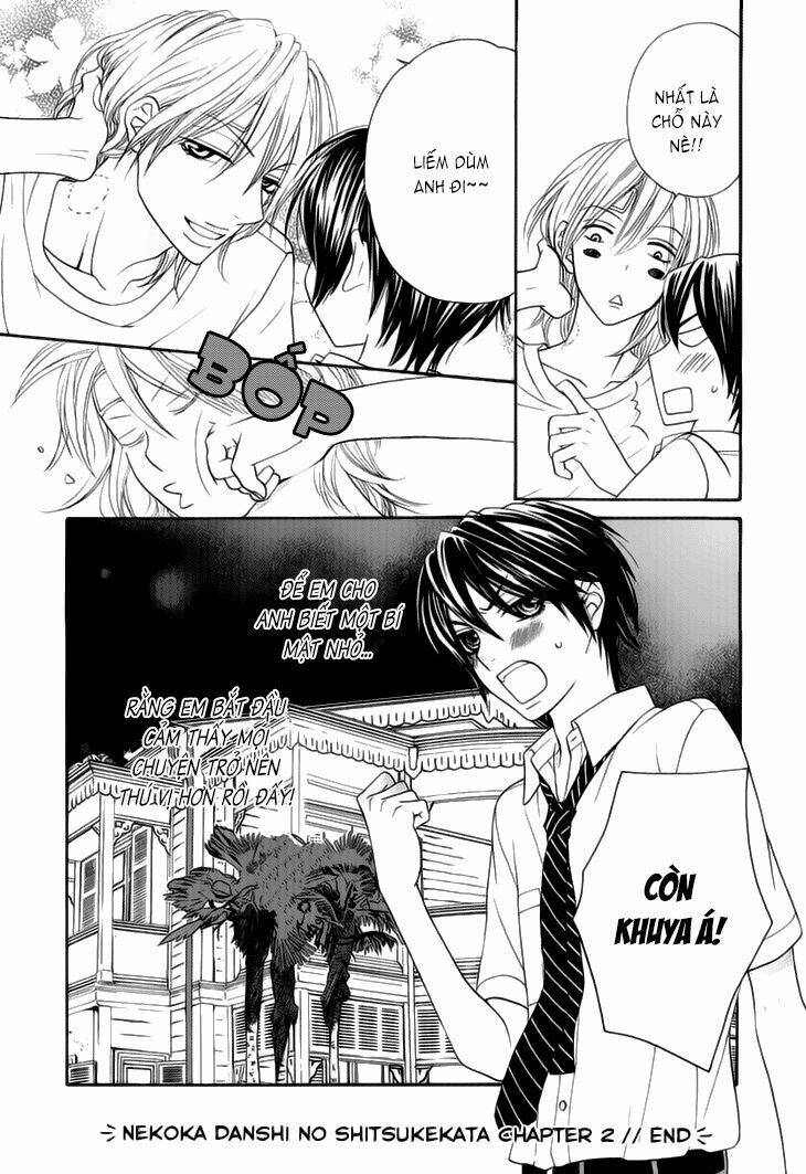 nekoka danshi no shitsukekata chapter 2 43