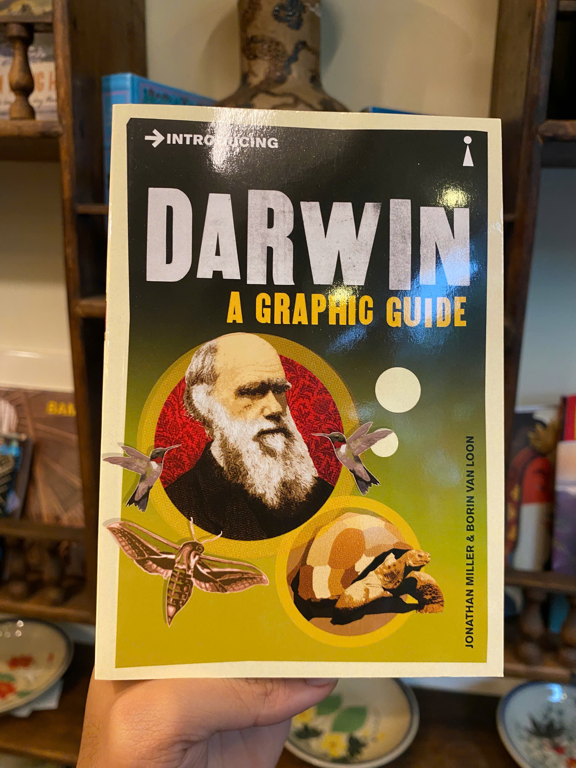 Sách - Introducing Darwin: A Graphic Guide by Jonathan Miller - Science/Nonfiction book in English