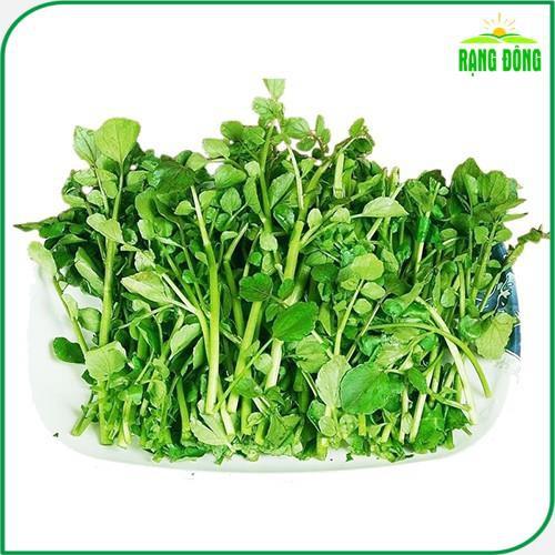 Hạt giống Xà Lách Xoong Sinh Trưởng Khỏe, Trồng Quanh Năm - Hạt Giống Rạng Đông