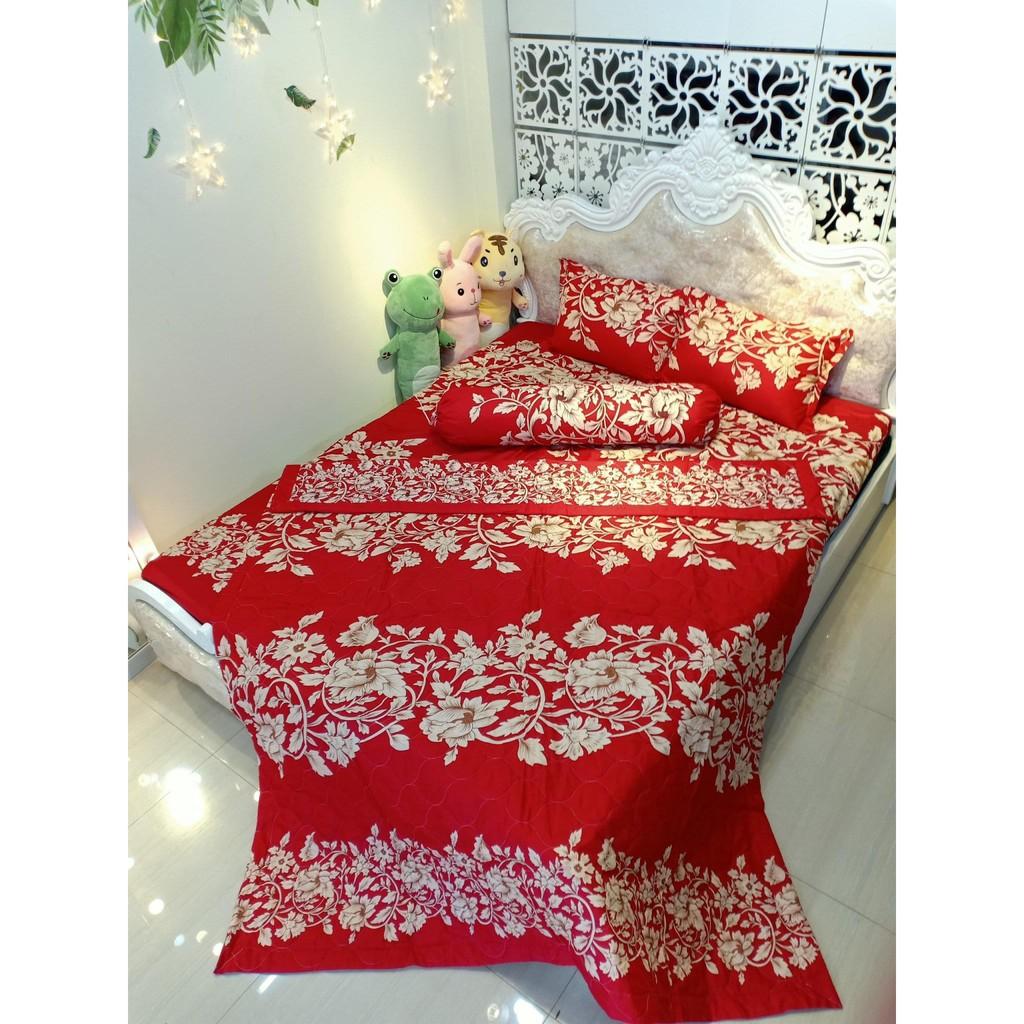 Bộ Hè 5 Món Chăn Ga Gối Và Ôm 2m2