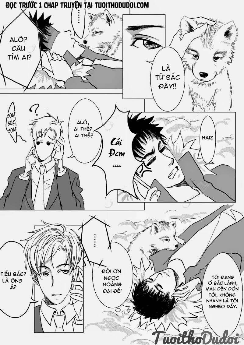 sự mê hoặc của sói chapter 3 4