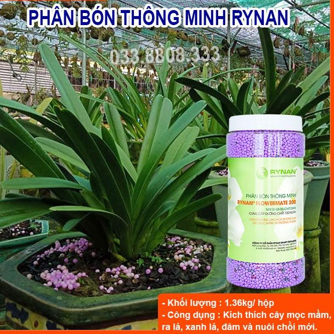 Phân Thông Minh 31-8-8 chuyên dùng kích thích cây nảy mầm, dâm chồi cho hoa lan cây cảnh