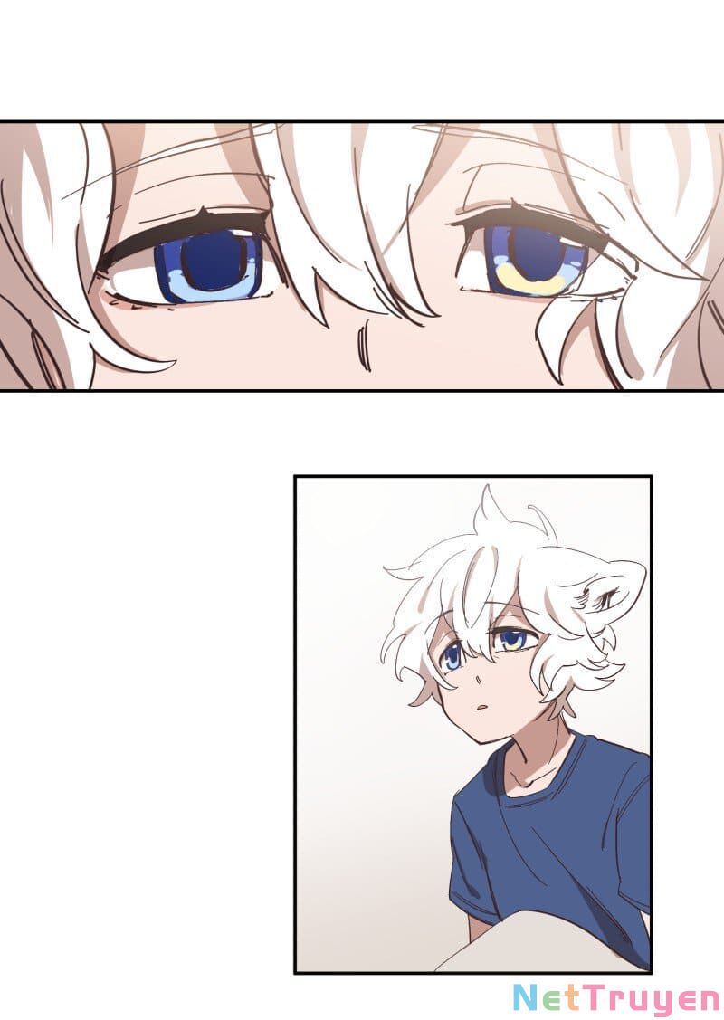 lumine - cội nguồn ánh sáng chapter 73 12