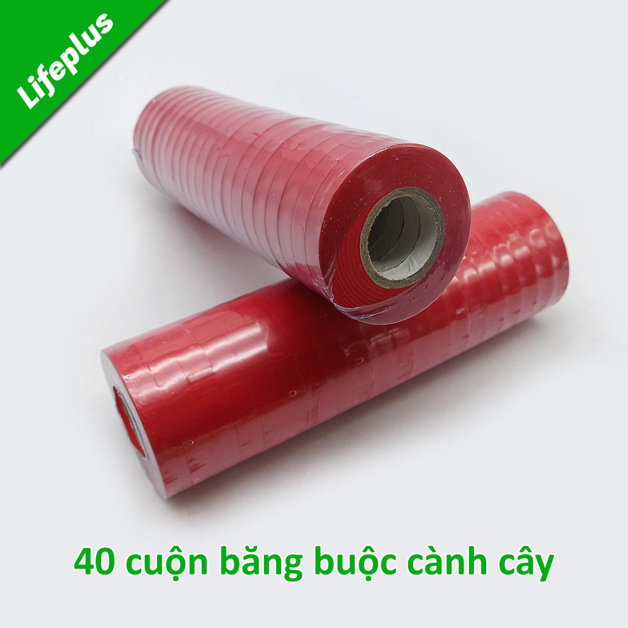 Bộ 2 hộp ghim và 2 cây băng buộc cành cây