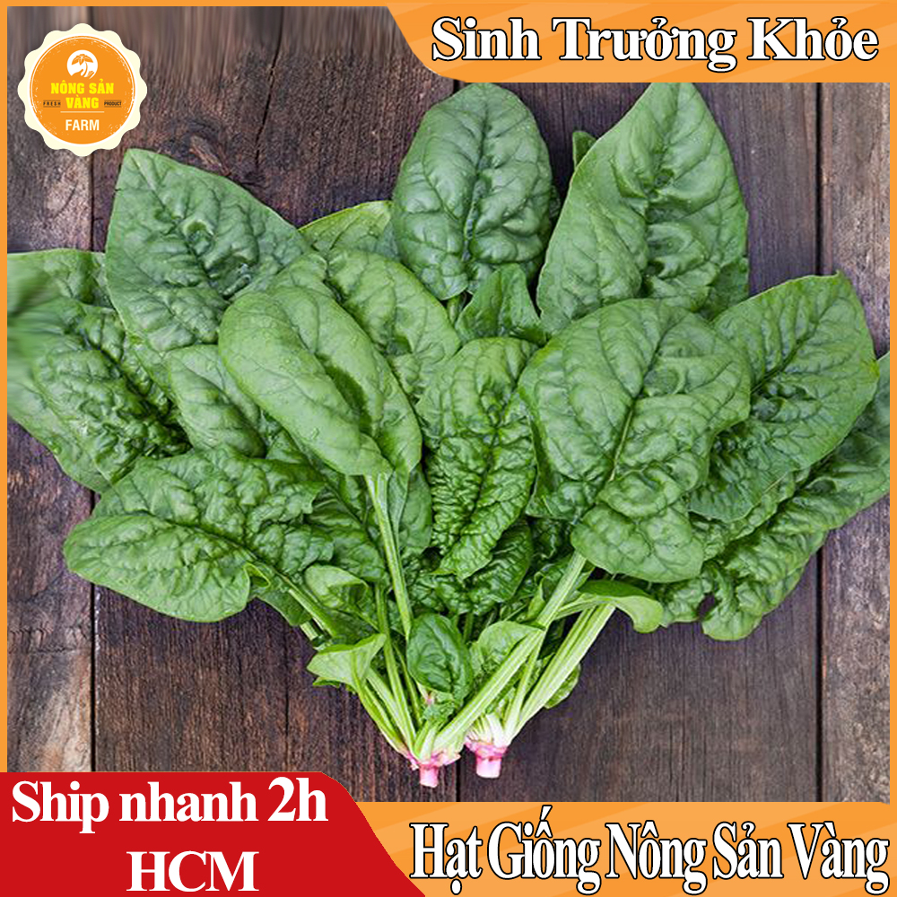 Hạt giống Cải Bó Xôi Chịu Nhiệt, Dễ Trồng Được Nhiều Người Ưa Chuộng - Nông Sản Vàng