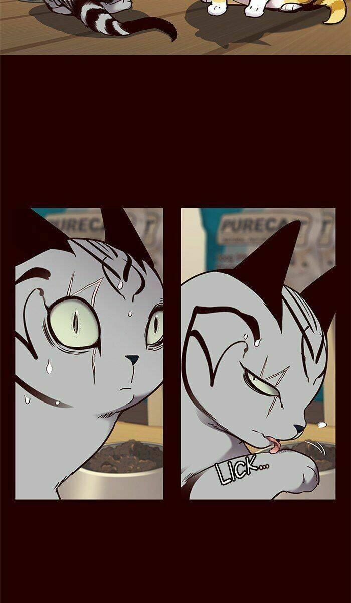 biến thân thành mèo chapter 67 39