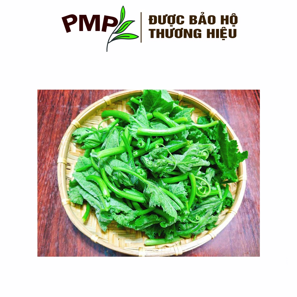 Hạt Giống Bí Siêu Ngọn PMP