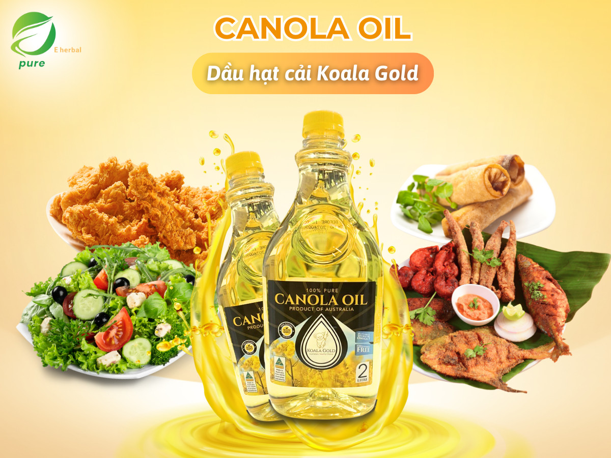 Dầu hạt cải Canola