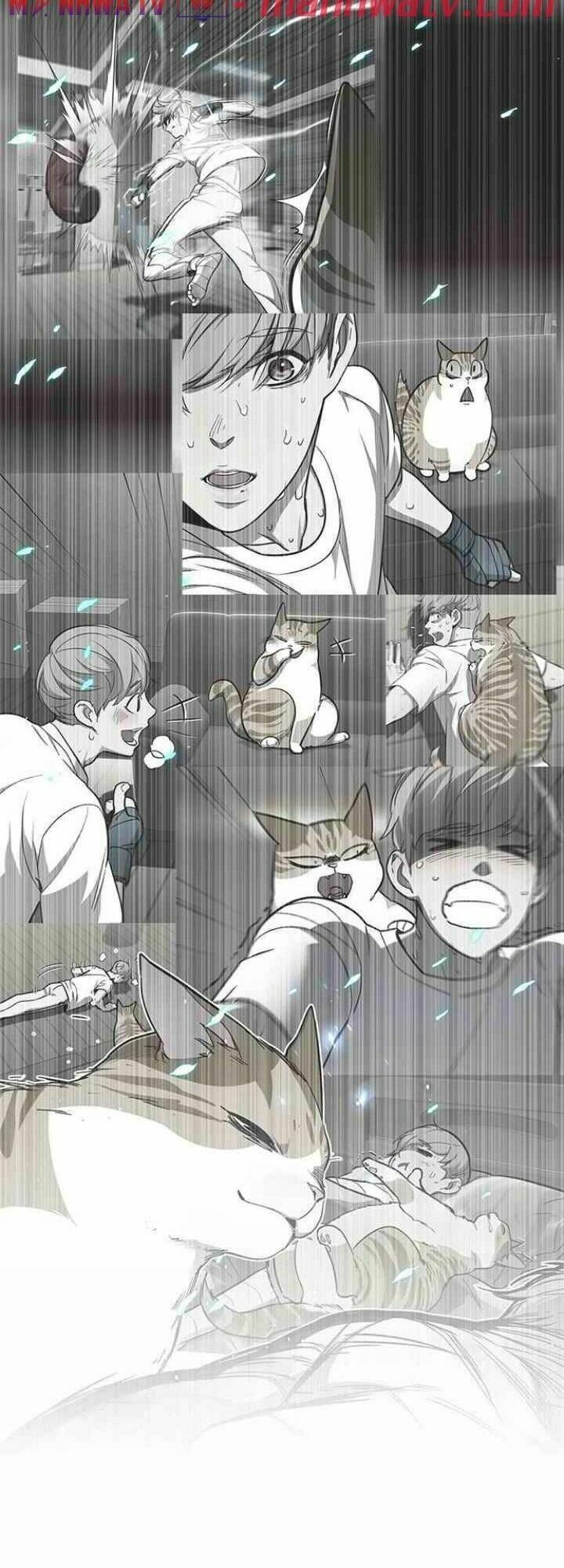 biến thân thành mèo chapter 99 53