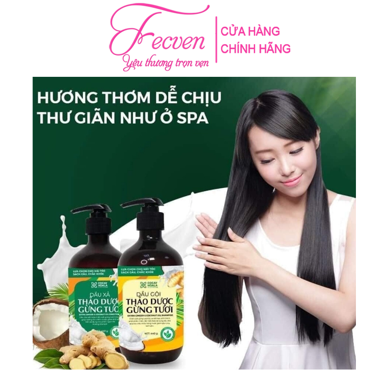 Dầu Gội Xả Gừng Dừa Hữu Cơ Cocayhoala Ngăn Rụng Tóc Kích Thích Mọc Tóc - Giảm Gàu - Ngừa Cảm Lạnh - Dưỡng Tóc Mềm Mượt Chắc Khỏe, FECVEN