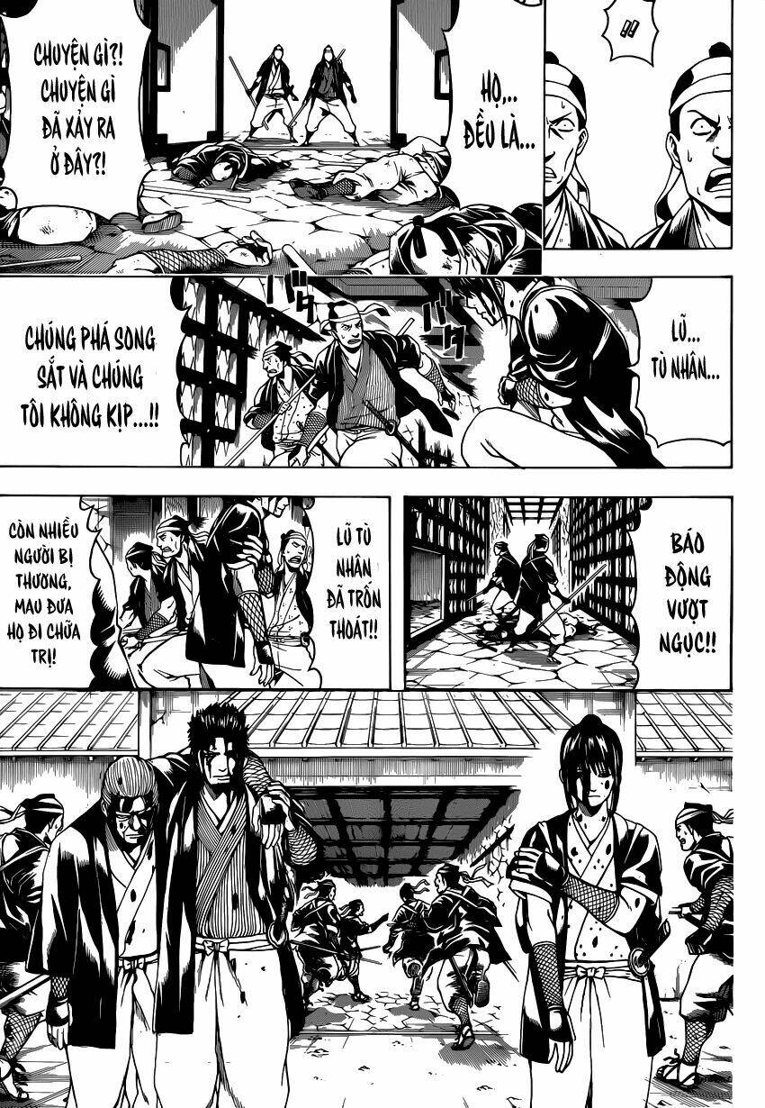 gintama - linh hồn bạc chapter 531 4
