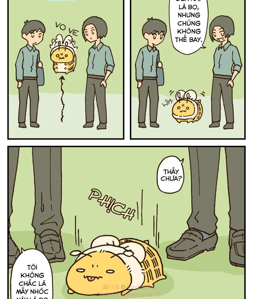những chú ong béo chapter 19.2 3