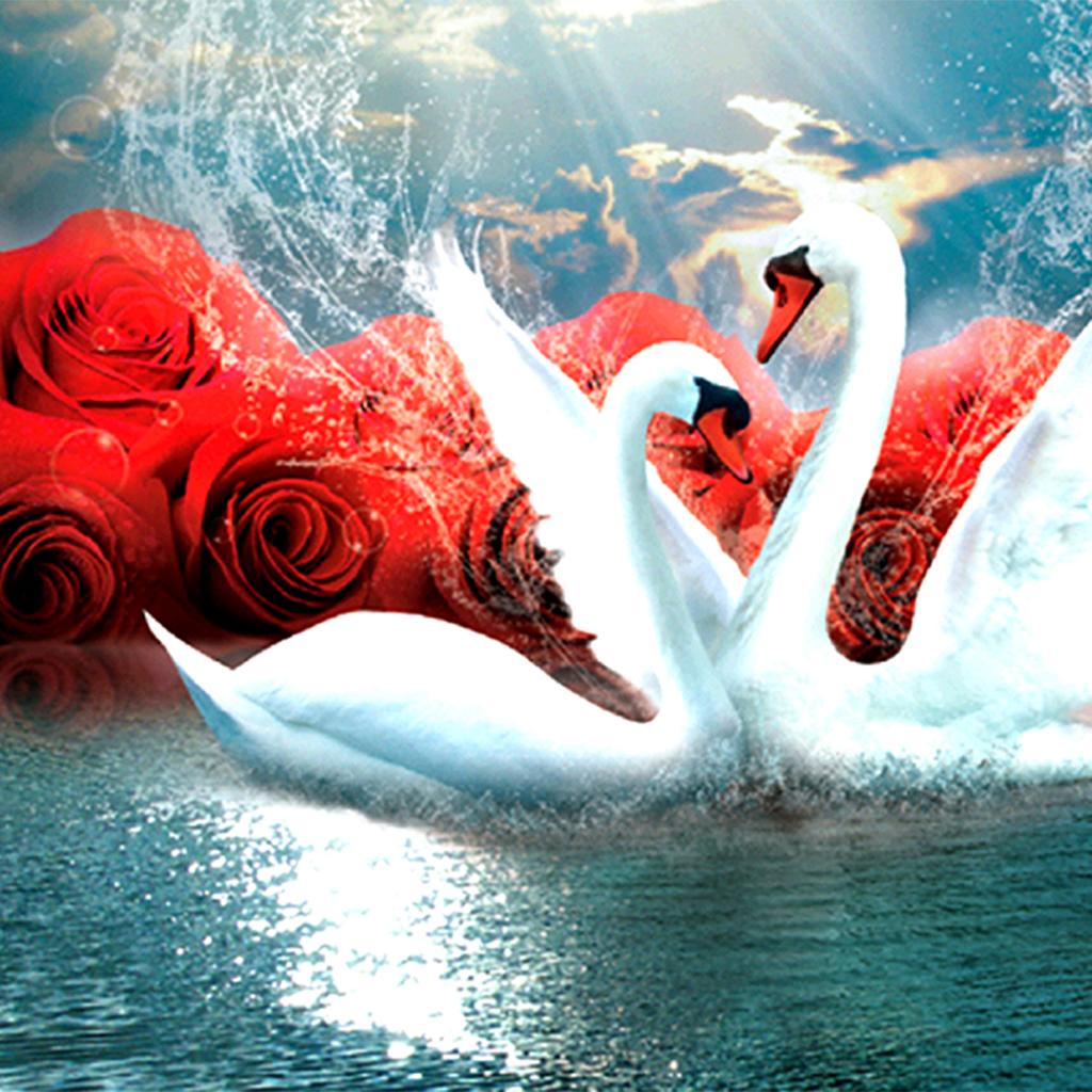 5D DIY Diamond Painting Embroidery Rhinestone Picture for Handmade