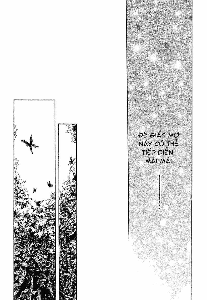 pupa chapter 13 29
