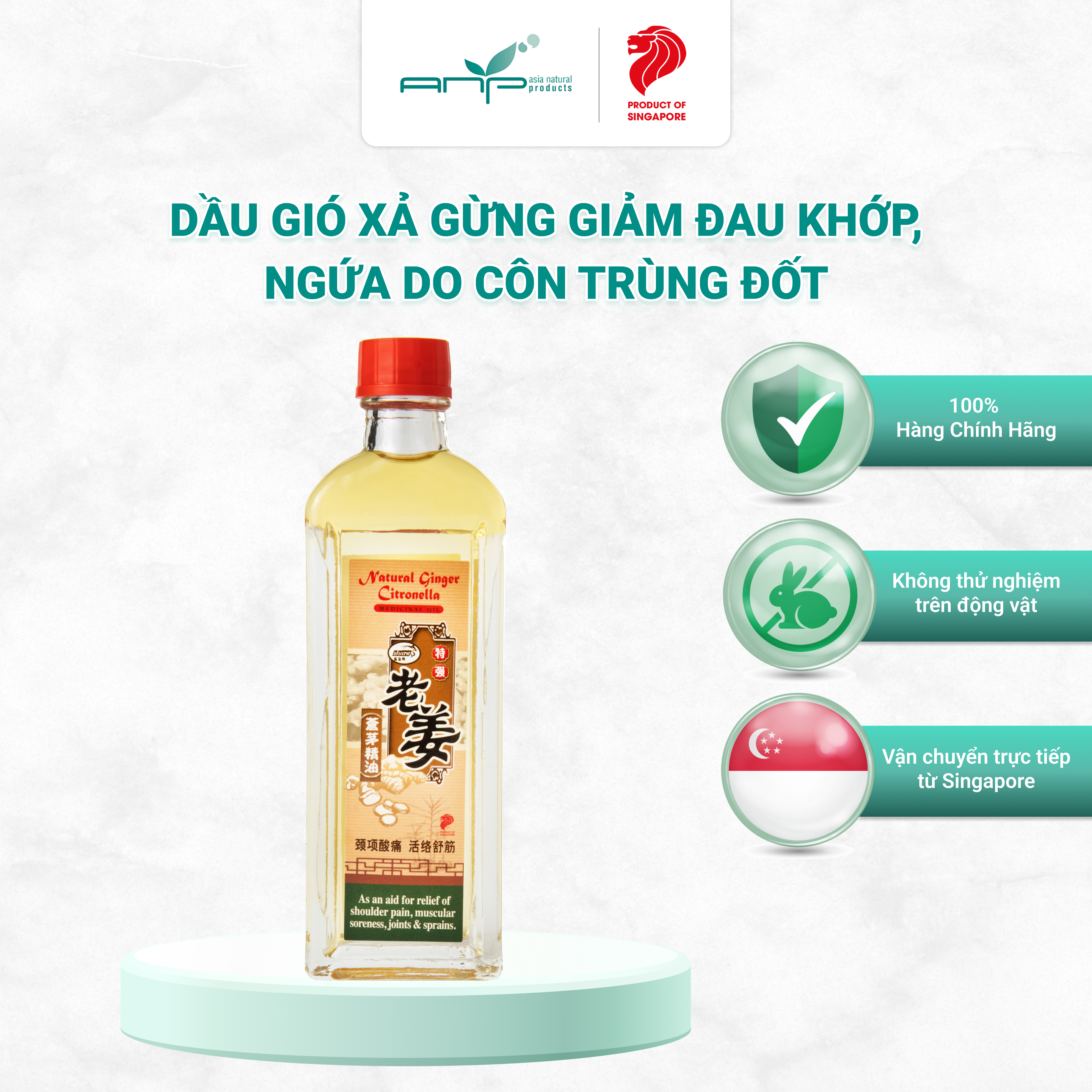 Dầu Gió Xả Gừng Giúp Giảm Đau Khớp Bong Gân Natural Ginger Citronella Thương Hiệu Singapore Giảm Ngứa Khi Bị Côn Trùng Cắn Muỗi Đốt 60ml