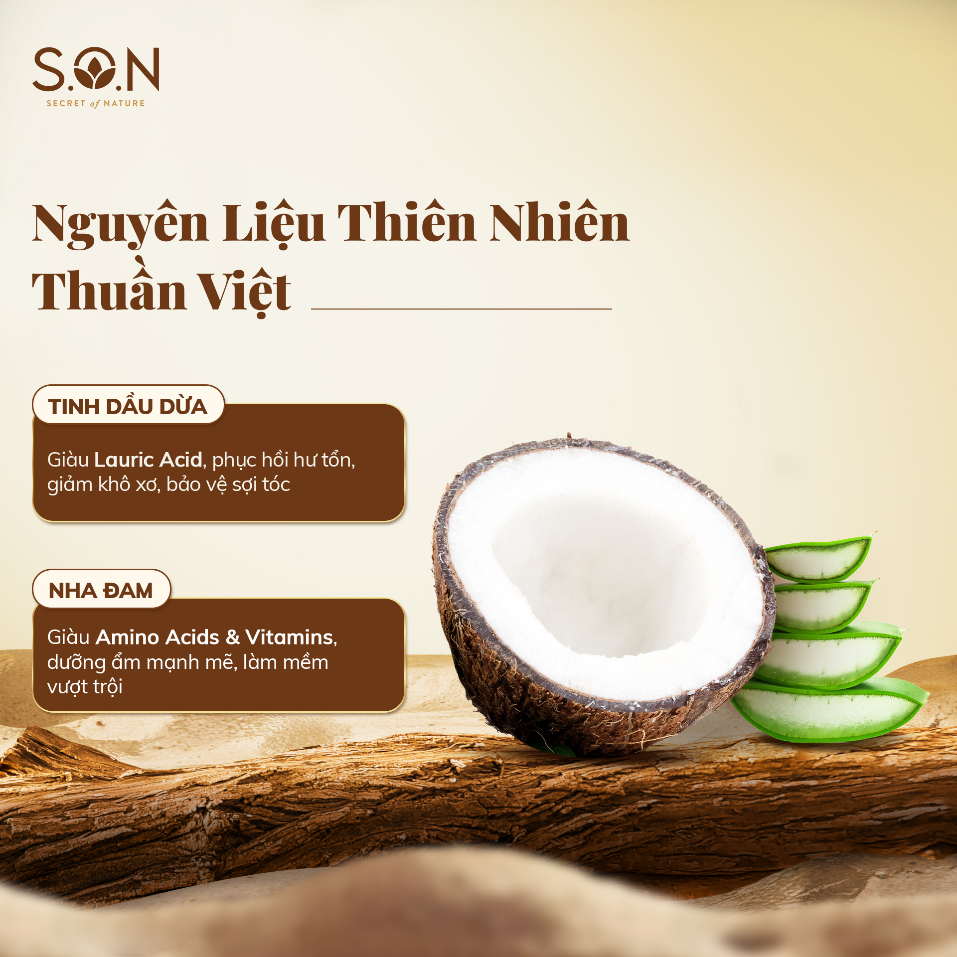 Dầu xả S.O.N Dừa &amp; Nha Đam Phục Hồi Khô Xơ, Hư Tổn, Nuôi Dưỡng Tóc Mềm Mượt  250ml