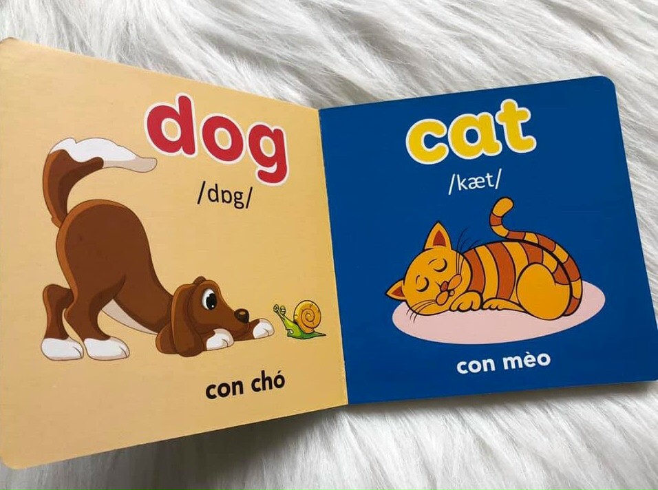 Từ điển hình ảnh đầu tiên cho bé khám phá thế giới - My first picture book
