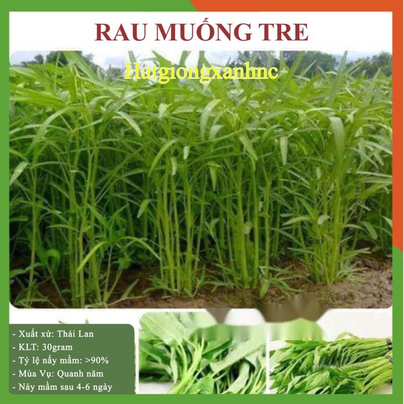 Hạt giống rau củ quả F1 các loại, gói từ 20-35gram, dễ trồng, kháng bệnh tốt. trồng ban công, sân thượng, trong chậu
