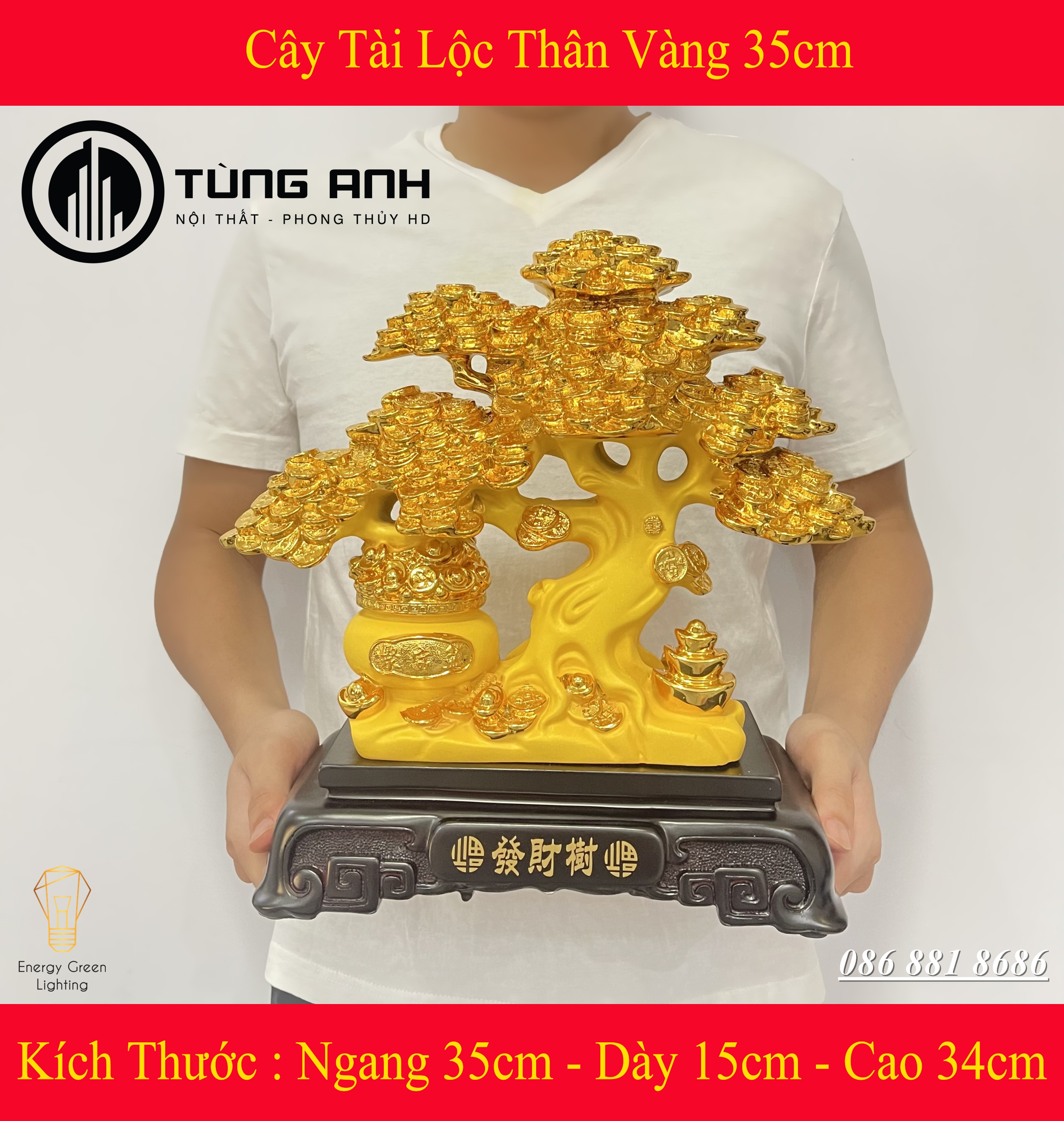 Cây Kim Tiền Tài Lộc Thân Vàng Size 35cm - Món Quà Của Sự Sung Túc - Mang Lại Sự May Mắn - Phát Lộc , Phát Tài - Có Video Thực Tế