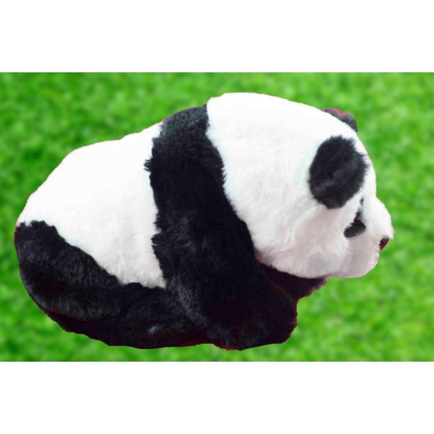 Thú bông phát nhạc - kích thích phát triển não bộ và các giác quan của bé từ 3 tháng tuổi.