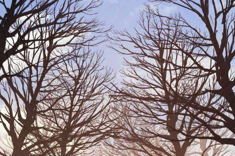 tôi trở lại thăng cấp một mình chapter 111 110