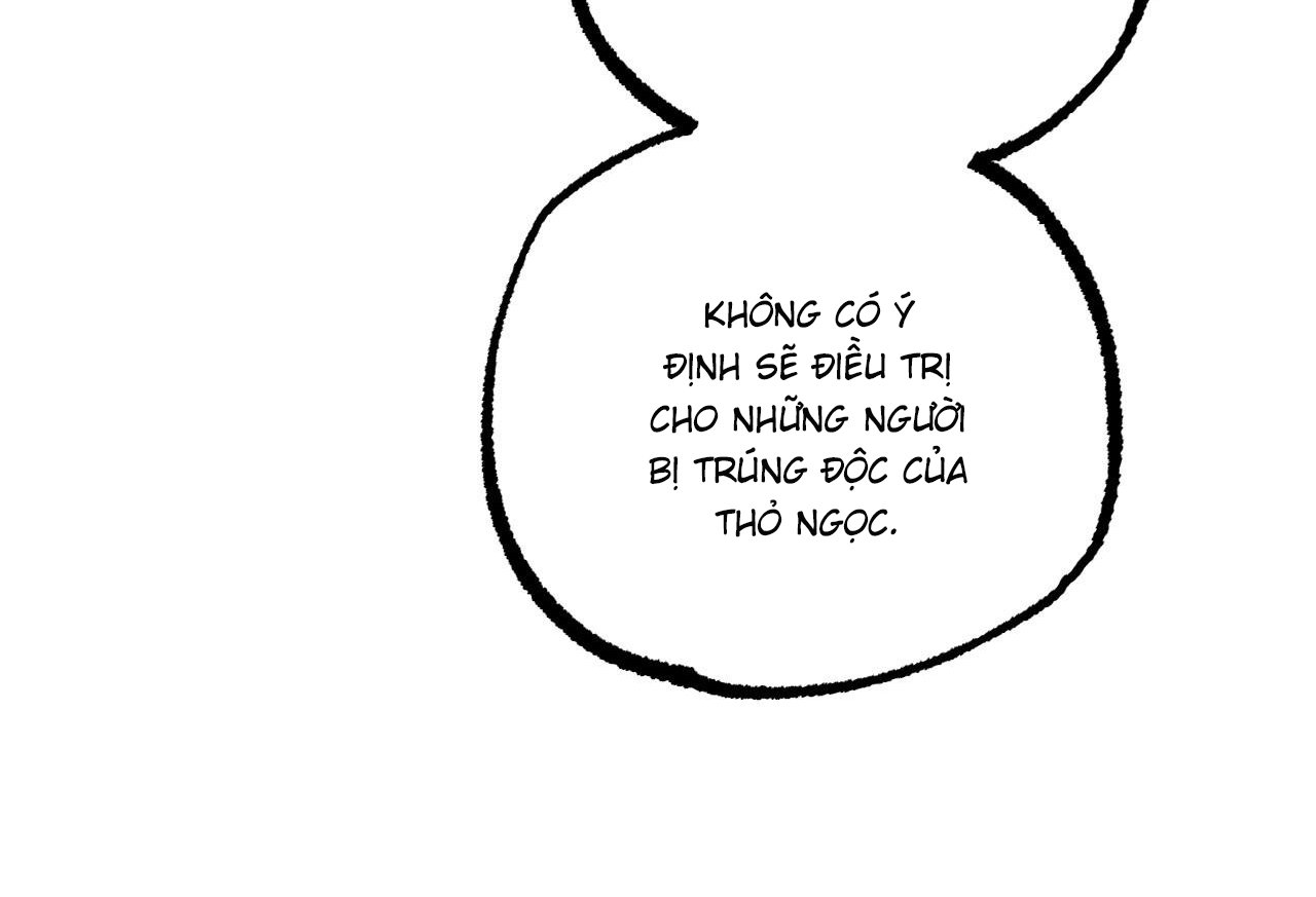 những chú thỏ của hapypy chapter 61 24