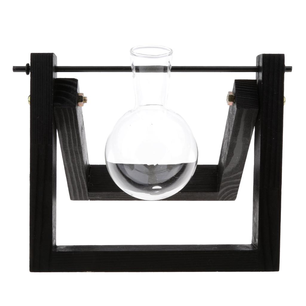 Vintage Glass Tabletop Hydroponic Flower Vase