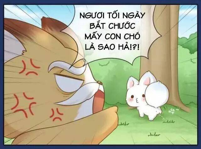 tiểu hồ ly vs tiểu hóa thượng chapter 74 4