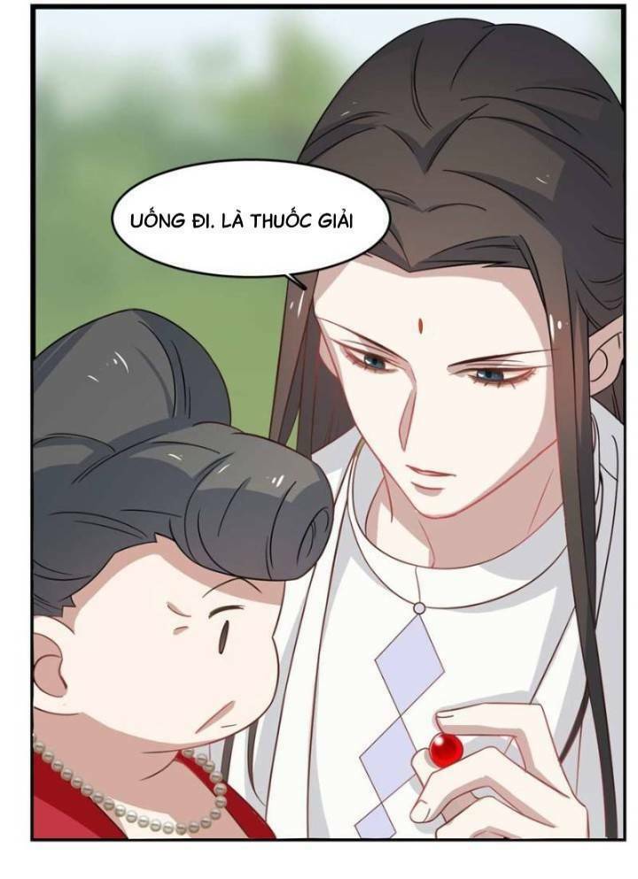 độc bộ thiên hạ: đặc công thần y chapter 166 27