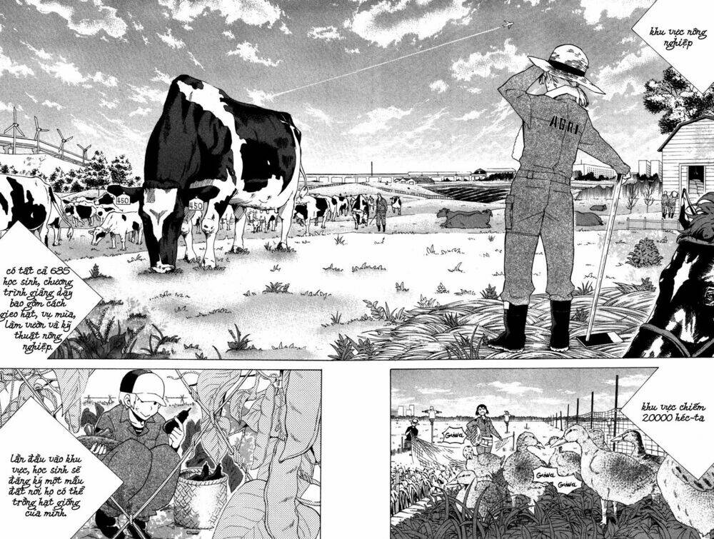 hell’s kitchen chapter 8 17