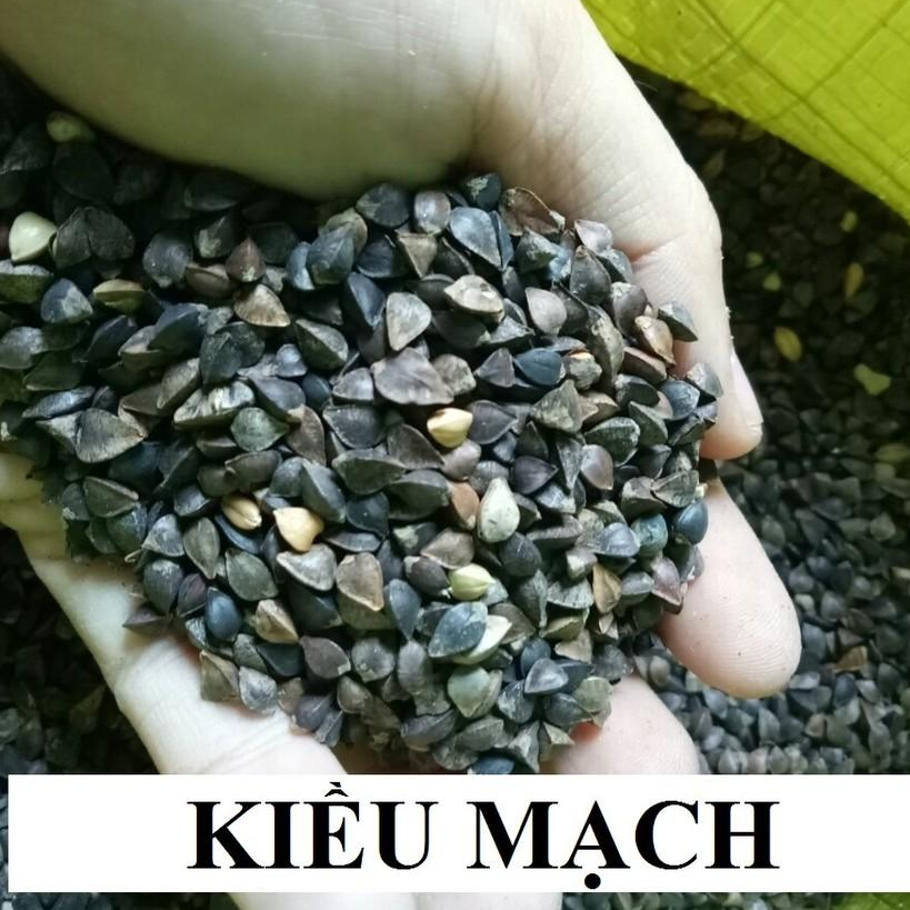 100G BA KHÍA (KIỀU MẠCH) CHO CHIM,VẸT,HAMSTER