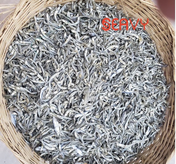 Đặc Sản Nha Trang - Cá Cơm Khô, Khô Cá Cơm Săn, Seavy Gói 500 Gram