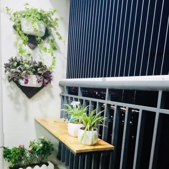 Combo 5 bộ chậu vỉ treo tường trang trí ban công, logia