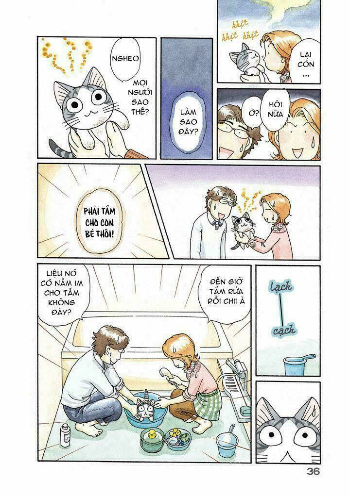 chi's sweet home chapter 115 2