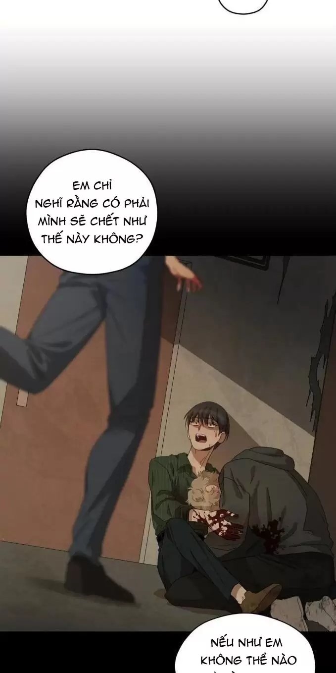 liveta chapter 32 19