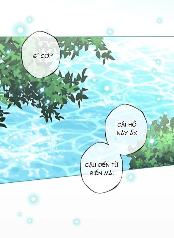 chàng tiên cá mắc kẹt trong hồ của tôi chapter 3.2 5