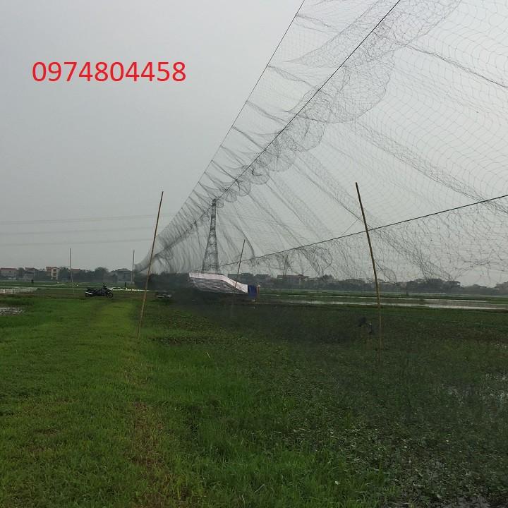 Lưới bẫy chim cò, Lưới được chia thành 5 dây 4 túi, loại 50m shop đã thu túi và chia 3 cọc.