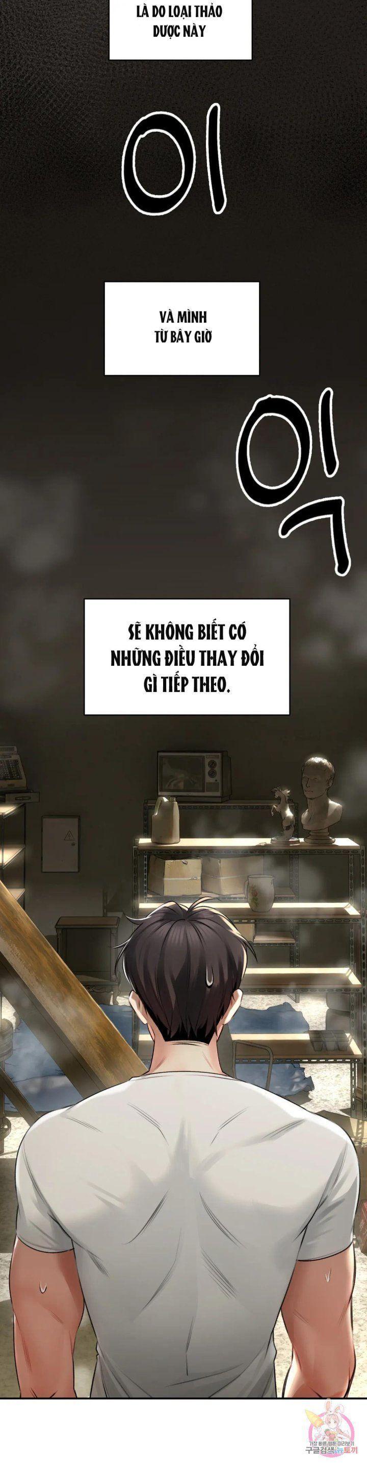 chuyện tình thảo mộc chapter 2 41