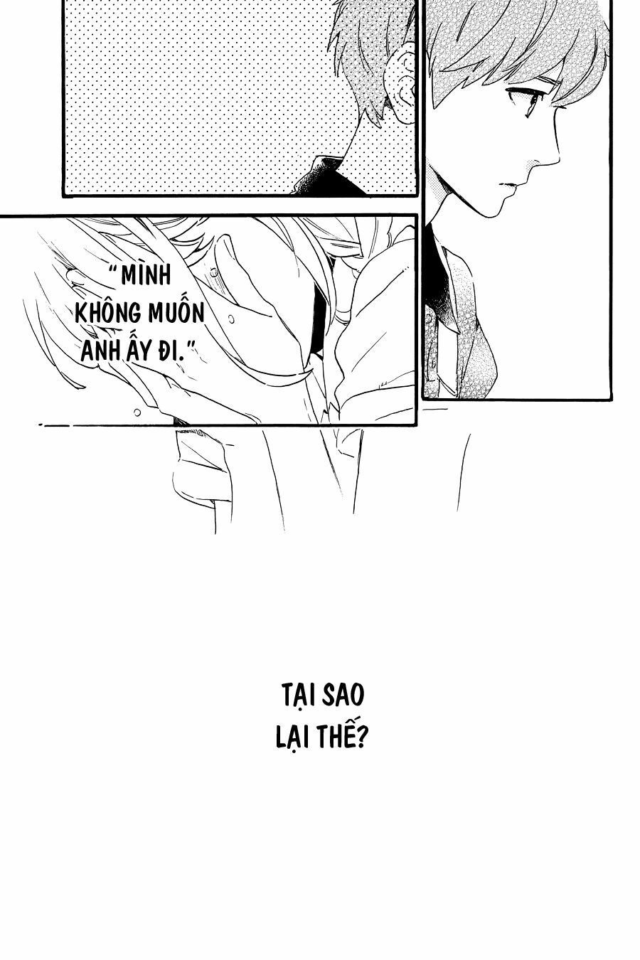 những đóa sơn trà kia, sẽ vì em mà đơm hoa khoe sắc chapter 15 22