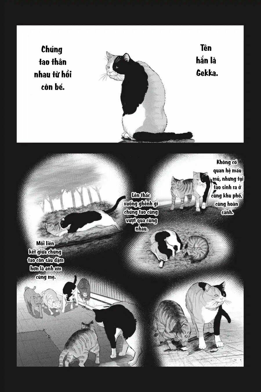 nyankees chapter 9 25