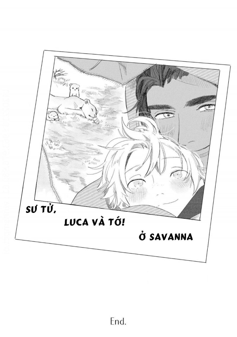 đất nước của những chú sư tử chapter 6 13