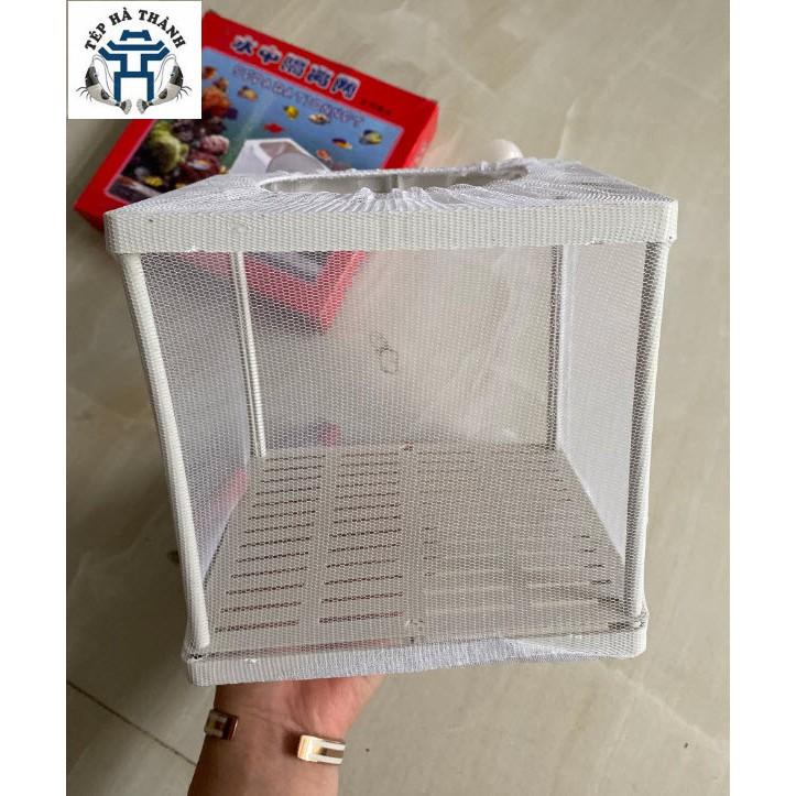 Lồng Dưỡng Cho Cá, Tép Cảnh