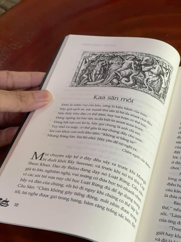 CHUYỆN RỪNG XANH (Bìa mềm)